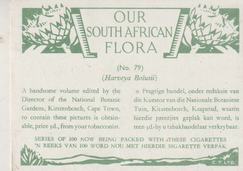CIGARETTE CARD OUR SOUTH AFRICAN FLOWERS NO 79