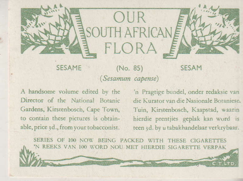 CIGARETTE CARD OUR SOUTH AFRICAN FLOWERS NO 85