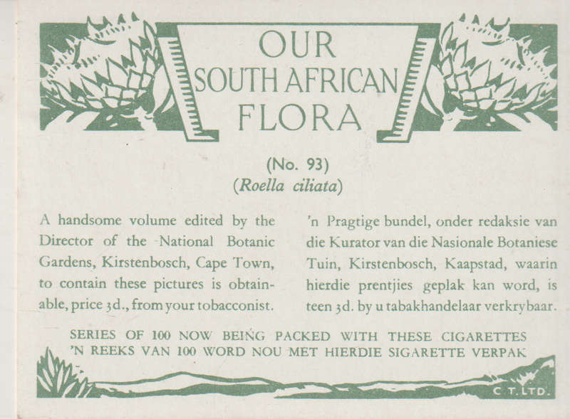 CIGARETTE CARD OUR SOUTH AFRICAN FLOWERS NO 93
