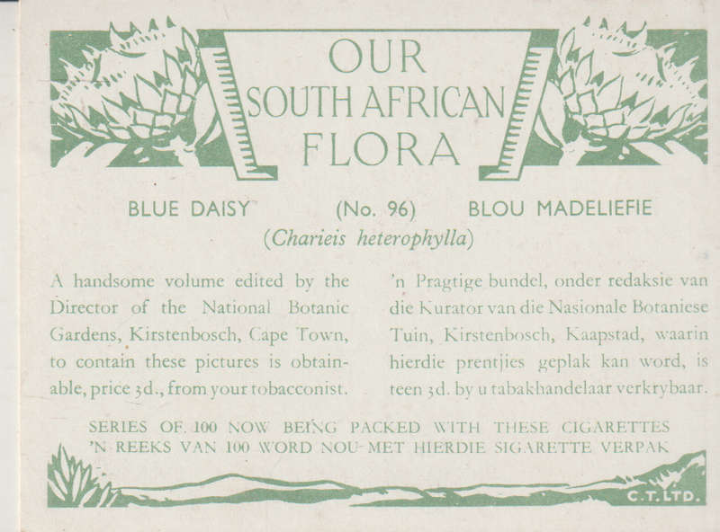 CIGARETTE CARD OUR SOUTH AFRICAN FLOWERS NO 96