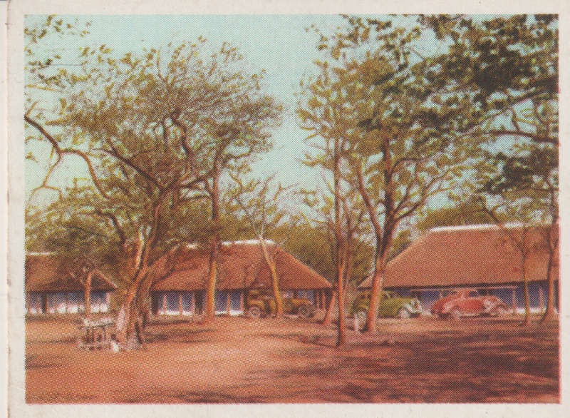 CIGARETTE CARD OUR SOUTH AFRICAN NATIONAL PARKS NO 18