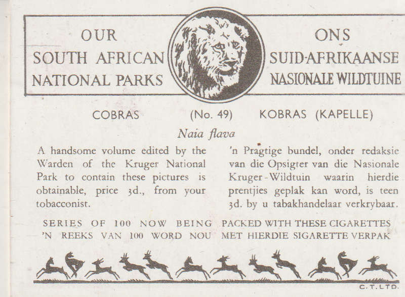 CIGARETTE CARD OUR SOUTH AFRICAN NATIONAL PARKS NO 49