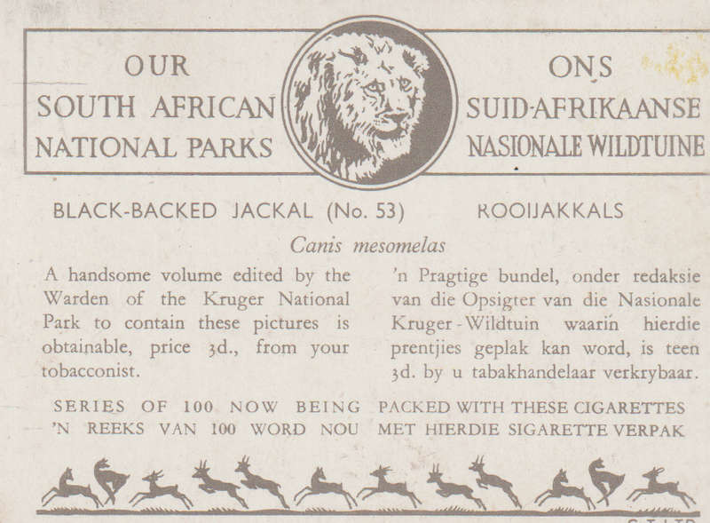 CIGARETTE CARD OUR SOUTH AFRICAN NATIONAL PARKS  NO 53