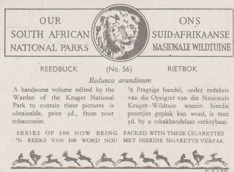 CIGARETTE CARD OUR SOUTH AFRICAN NATIONAL PARKS  NO 56