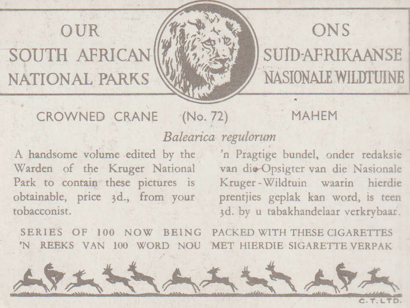 CIGARETTE CARD OUR SOUTH AFRICAN NATIONAL PARKS  NO 72