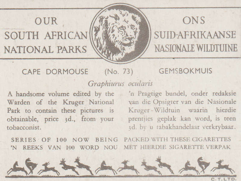 CIGARETTE CARD OUR SOUTH AFRICAN NATIONAL PARKS  NO 73