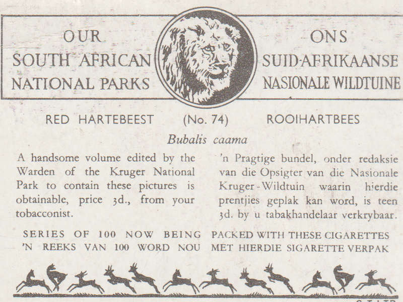 CIGARETTE CARD OUR SOUTH AFRICAN NATIONAL PARKS  NO 74