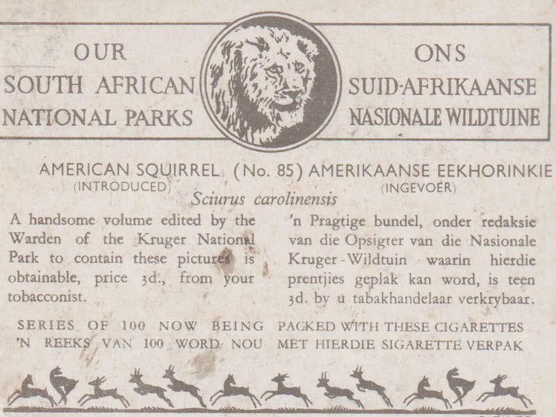 CIGARETTE CARD OUR SOUTH AFRICAN NATIONAL PARKS  NO 85