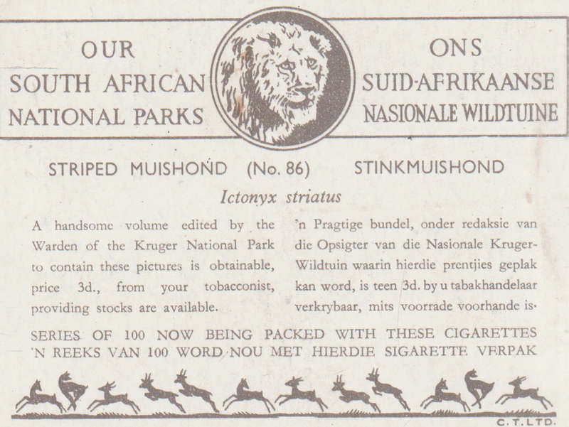 CIGARETTE CARD OUR SOUTH AFRICAN NATIONAL PARKS  NO 86