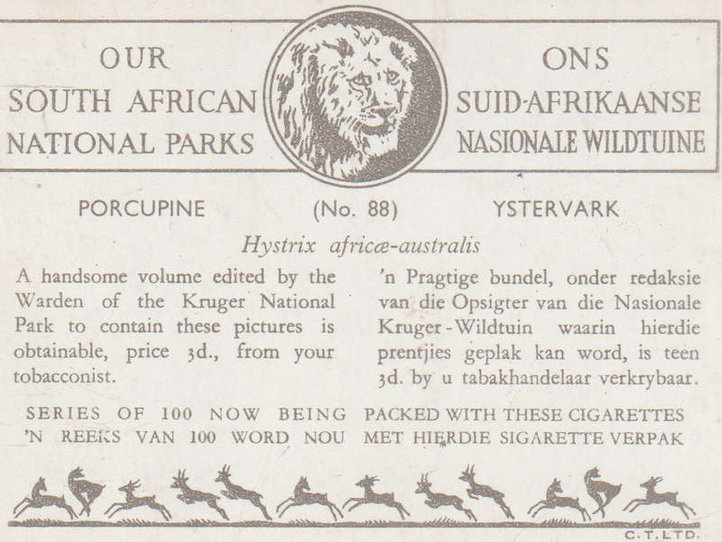 CIGARETTE CARD OUR SOUTH AFRICAN NATIONAL PARKS  NO 88