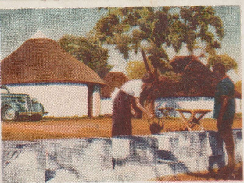 CIGARETTE CARD OUR SOUTH AFRICAN NATIONAL PARKS  NO 89