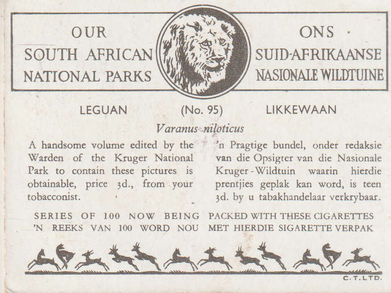 CIGARETTE CARD OUR SOUTH AFRICAN NATIONAL PARKS NO 95