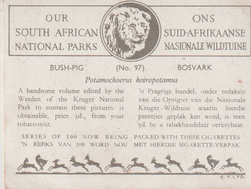 CIGARETTE CARD OUR SOUTH AFRICAN NATIONAL PARKS NO 97
