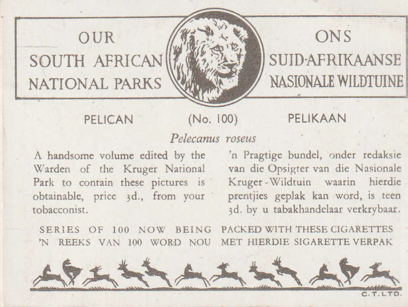 CIGARETTE CARD OUR SOUTH AFRICAN NATIONAL PARKS NO 100