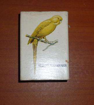 YELLOW BUDGERIGAR MATCH BOX