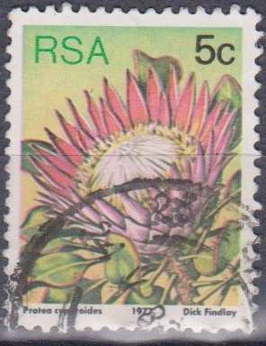 R.S.A. STAMP