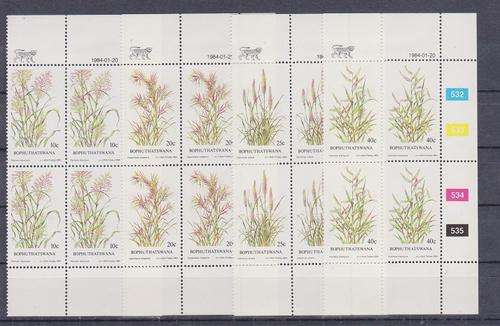 BOPHUTHATSWANA CONTROL SET 1984 INDIGENOUS GRASSES SACC 116-119