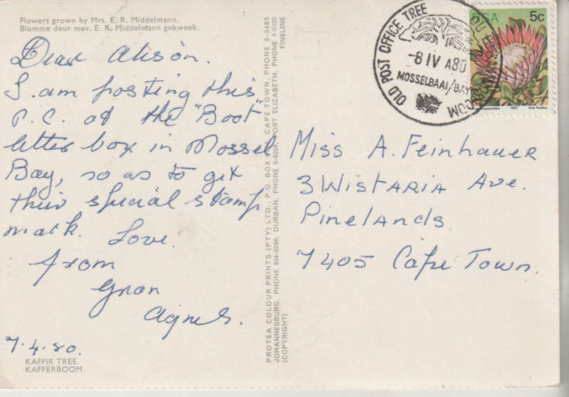 OLD USED POST CARD OLD POST OFFICE TREE CANCEL