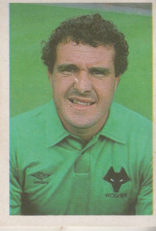 SOCCER 83-84 JOHN BURRIDGE NO 274