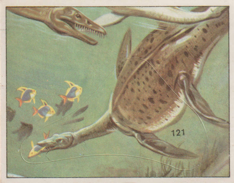 PANINI PREHISTORIC ANIMALS NO 121