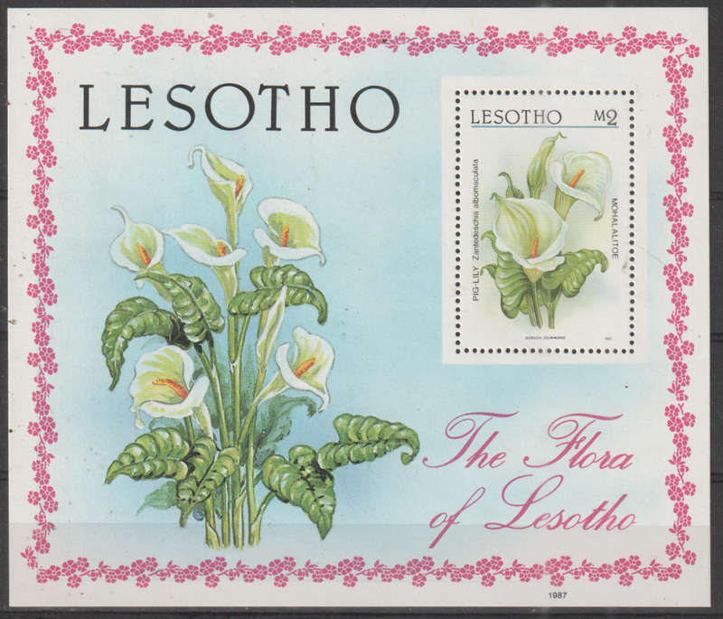 Lesotho - 1987 Local Flora  MM SG774