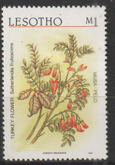 Lesotho - 1987 Local Flora MM SG771