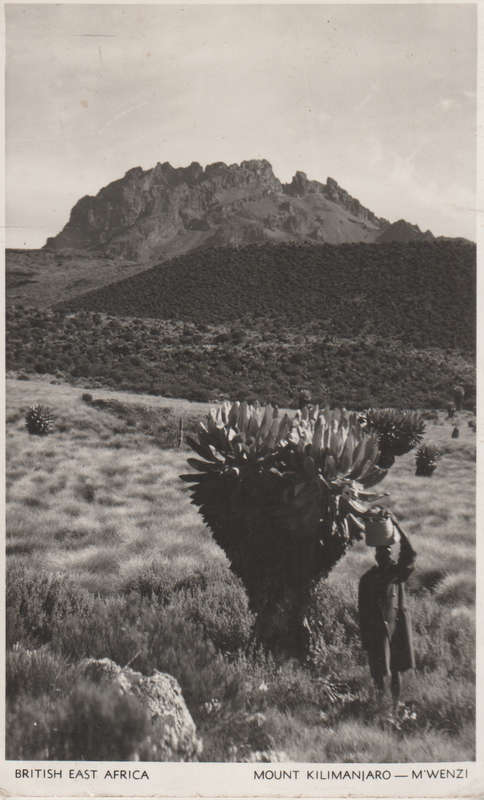 MINT POST CARD BRITISH EAST AFRICA