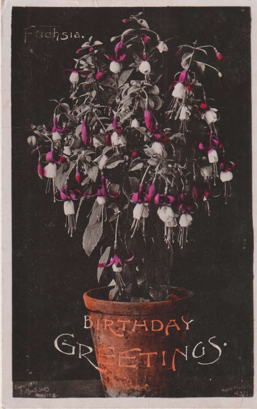 USED POST CARD 1910 NATAL