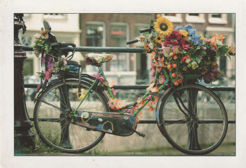 MINT POST CARD