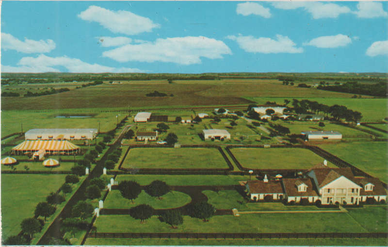 MINT PST CARD SOUTHFORK RANCH DALLAS
