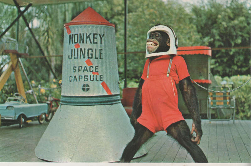 MINT POST CARD
