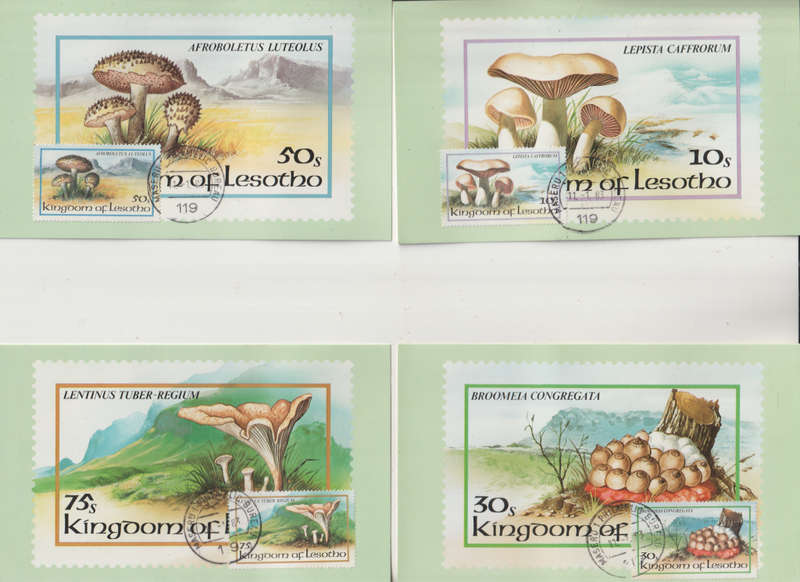 LESOTHO 1983 Fungi MAXI CARD POST CARD SET
