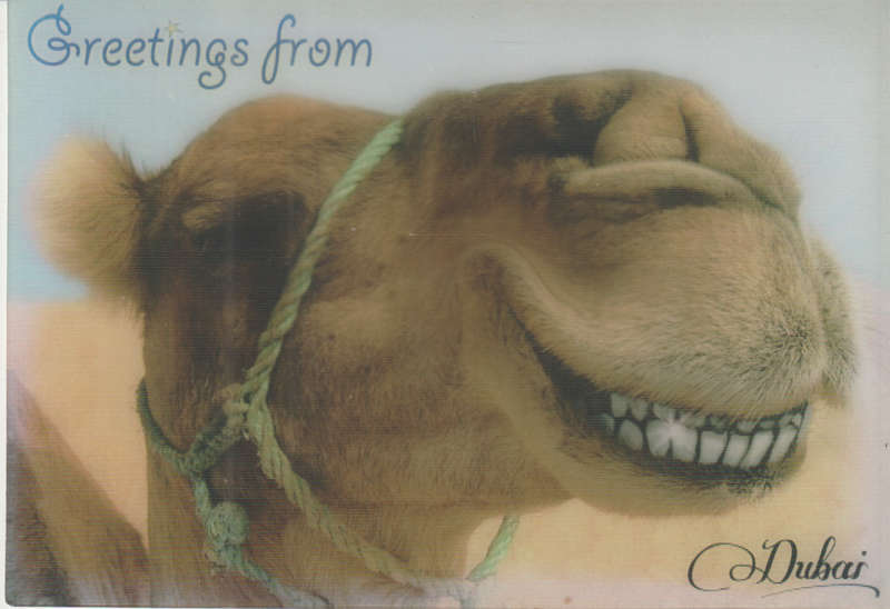 MINT POST CARD 3D