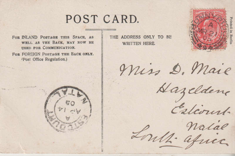 USED POST CARD 1905 TREES