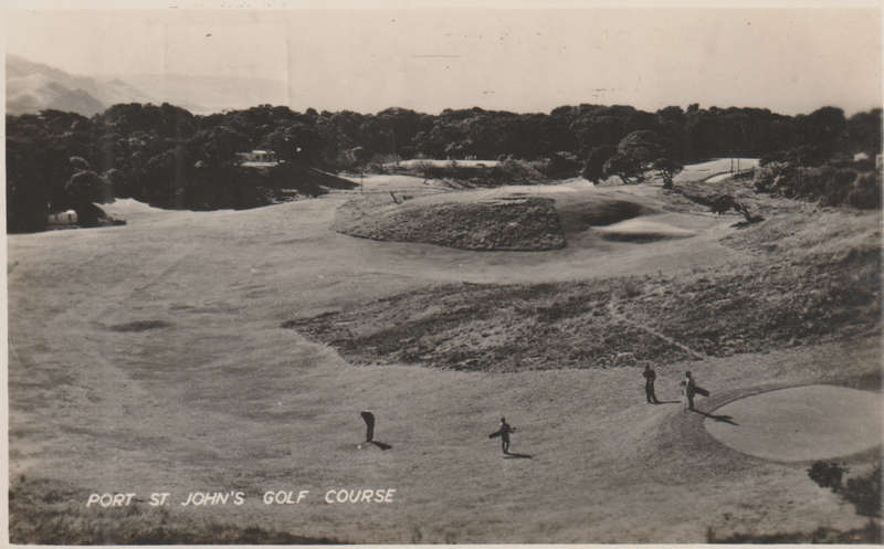 MINT POST CARD PORT ST JOHNS
