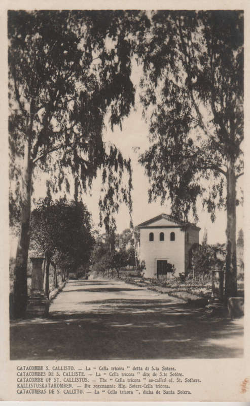 MINT POST CARD