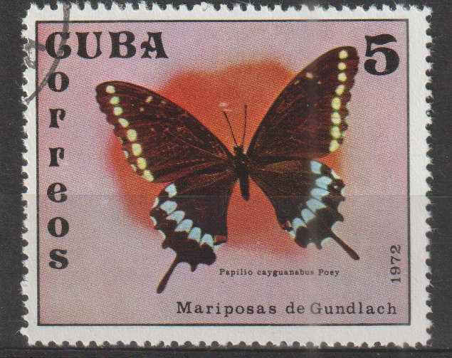 THEMATIC BUTTERFLIES CUBA ULH