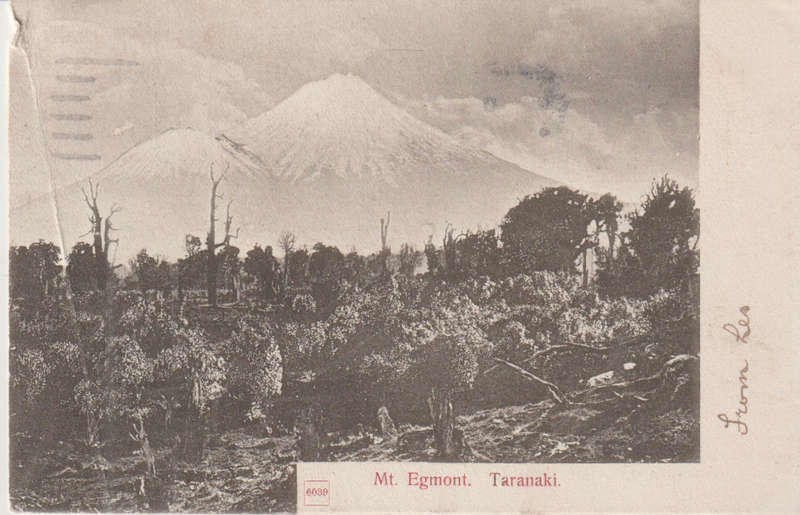 USED POST CARD WITH POSTAL HISTORY NEW ZEALAND 1905