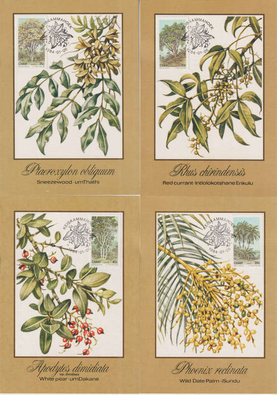 CISKEI 1984 Fauna - Trees MAXI CARD/ POST CARD SET