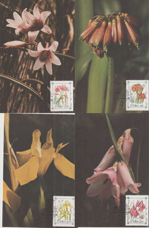 CISKEI 1988 Endangered and Protected Plant Species MAXI CARD/ POST CARD SET