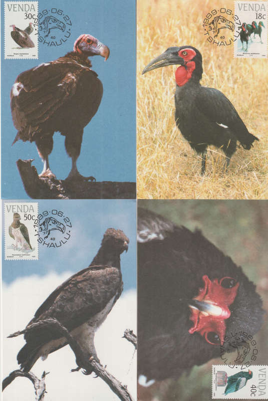 VENDA 1989 Birds Bridges MAXI CARD / POST CARD SET