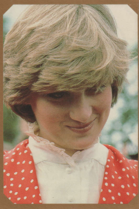 MERLIN DIANA STICKER CO,,ECTION #16