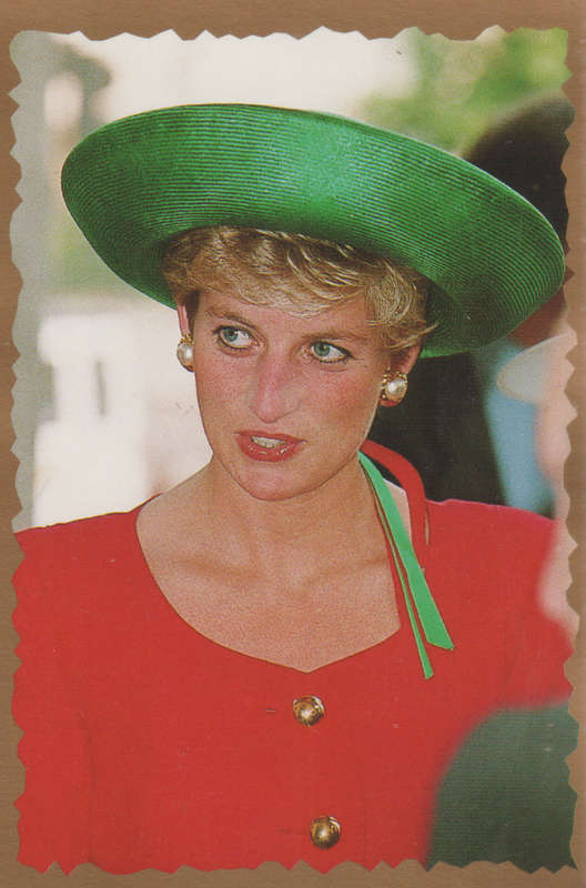 MERLIN DIANA STICKER COLLECTION #149