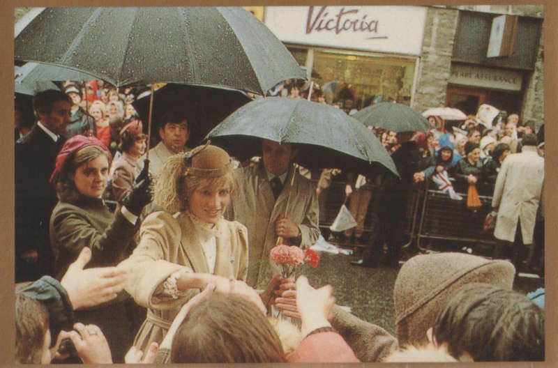 MERLIN DIANA STICKER COLLECTION #165