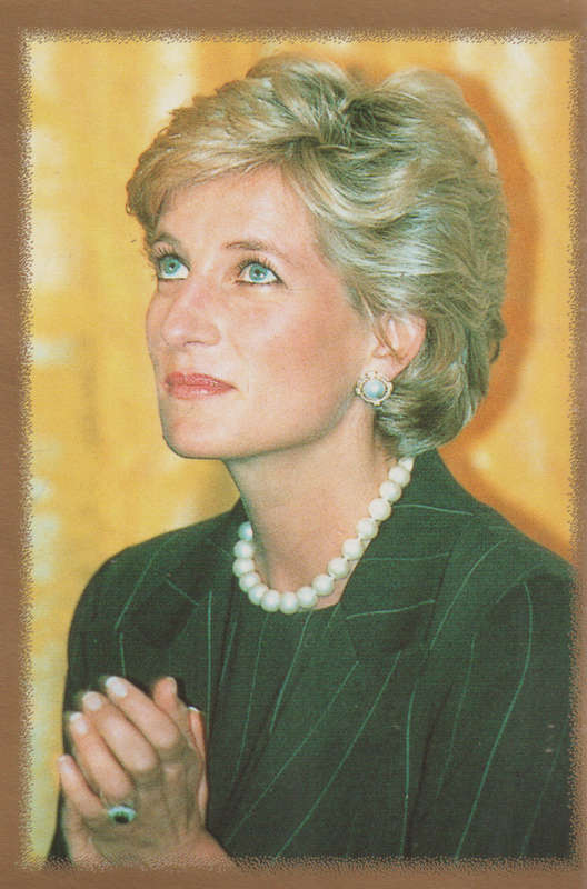 MERLIN DIANA STICKER COLLECTION #192