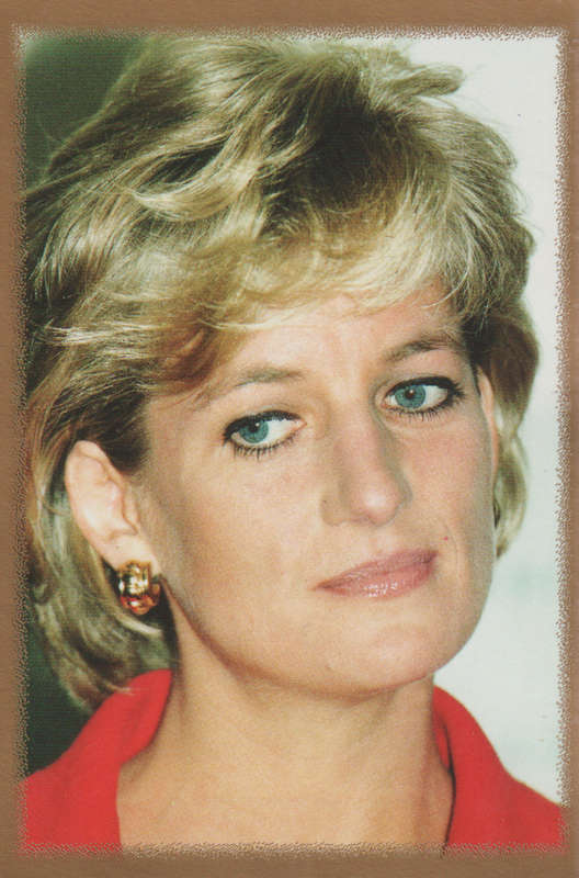 MERLIN DIANA STICKER COLLECTION #193