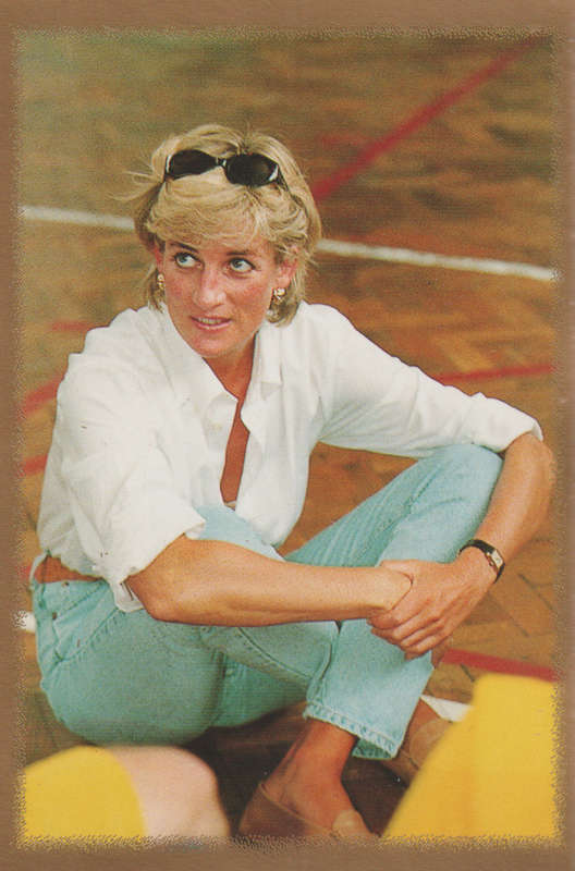 MERLIN DIANA STICKER COLLECTION #194