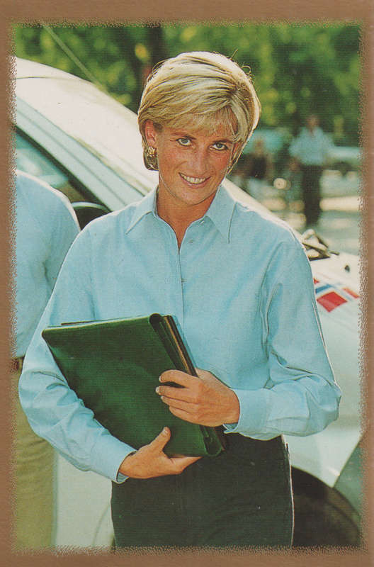 MERLIN DIANA STICKER COLLECTION #196