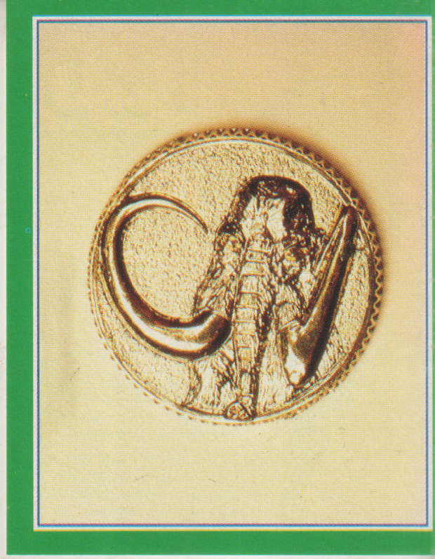 MERLIN COLLECTABLE POWER RANGERS STICKER #120