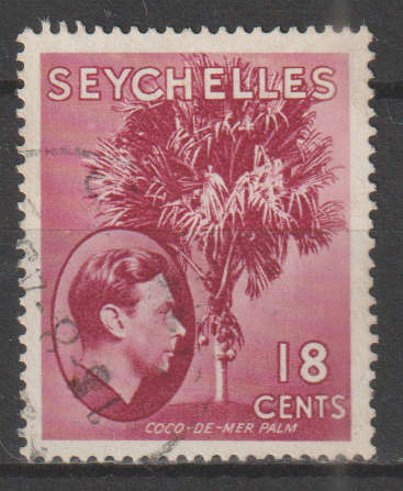 SEYCHELLES  1938 -1949 Local Motives - Double Coconut Palm MM SG 139C